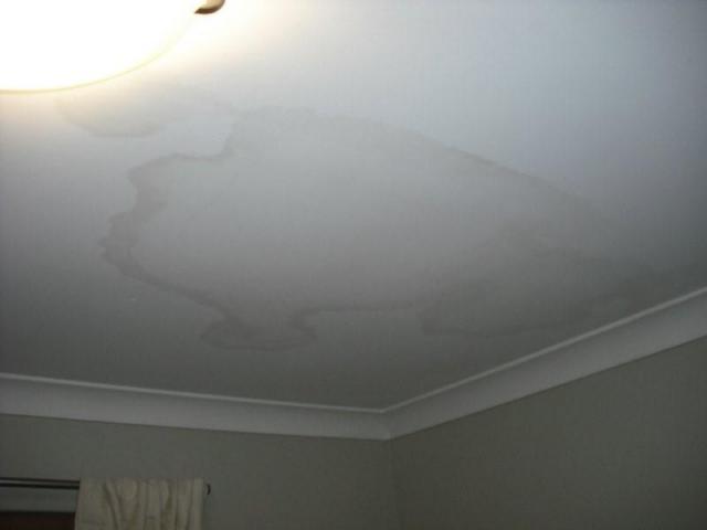 Thornlie Building Inspection Water Stained Ceiling